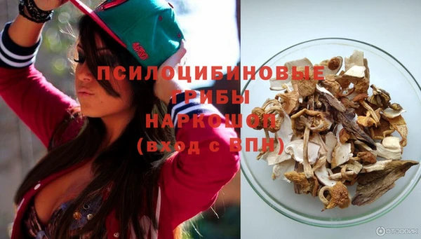 ПСИЛОЦИБИНОВЫЕ ГРИБЫ Алексин