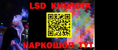 тгк Кингисепп