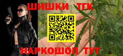 тгк Кингисепп