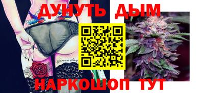 тгк Кингисепп