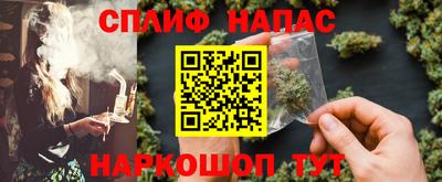 тгк Кингисепп