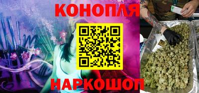 тгк Кингисепп