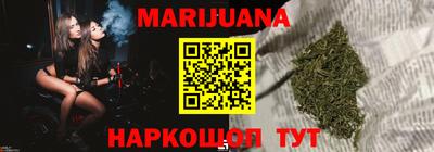 тгк Кингисепп