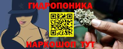 дурь Кимры