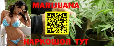 тгк Кингисепп