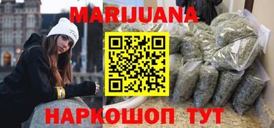 тгк Кингисепп
