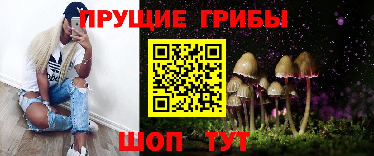 Галлюциногенные грибы Psilocybe  Галлюциногенные грибы мицелий  Вход с VPN  Кудрово 