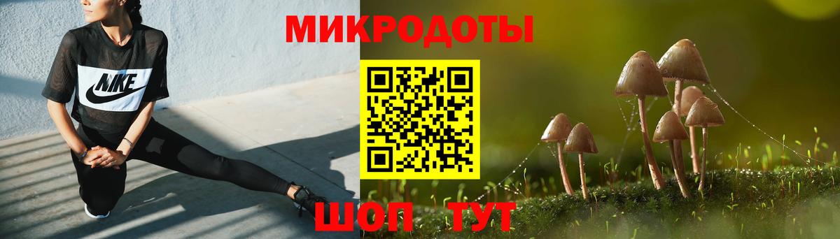 Галлюциногенные грибы Psilocybe Кудрово